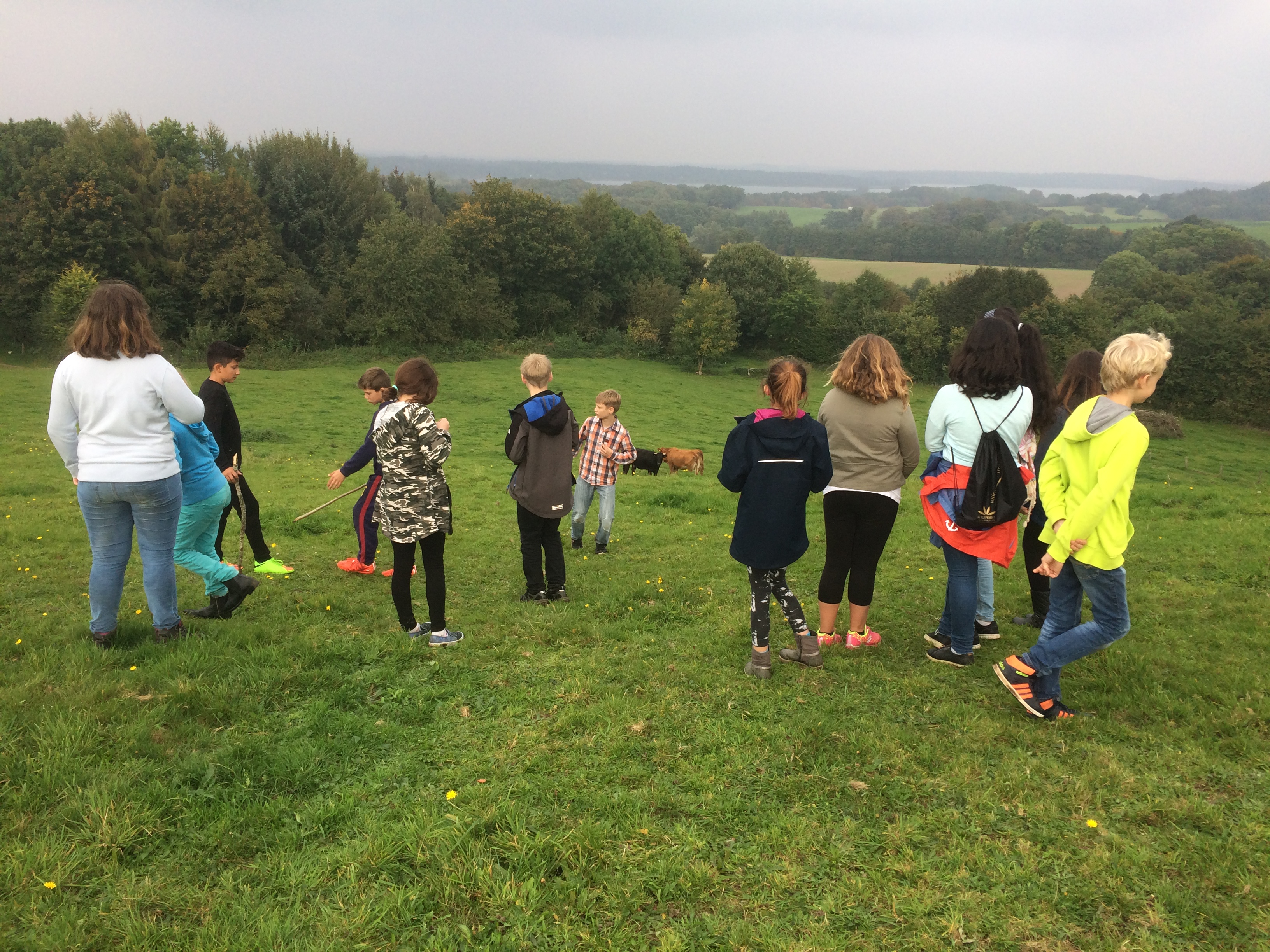 Schülerinnen und Schüler der Klassen 5a und 5b beim genießen der Aussicht auf dem Tüteberg.